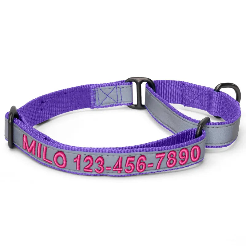 Pawtitas Personalized Reflective Martingale Dog Collar