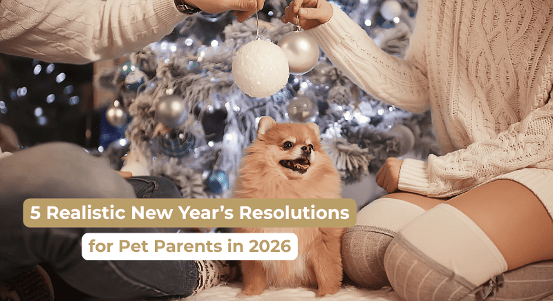 5 Realistic New Year’s Resolutions for Pet Parents in 2026