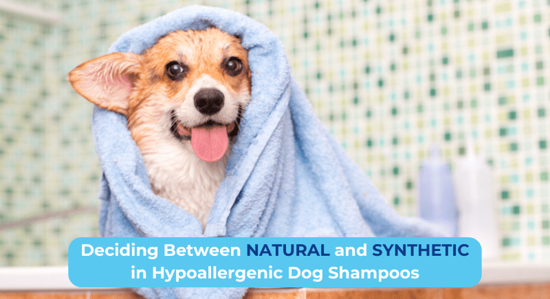 DECIDING BETWEEN NATURAL AND SYNTHETIC IN HYPOALLERGENIC DOG SHAMPOOS