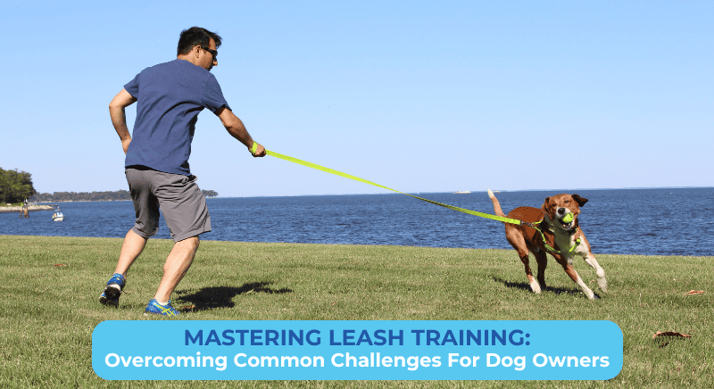 MASTERING LEASH TRAINING: OVERCOMING COMMON CHALLENGES FOR DOG OWNERS