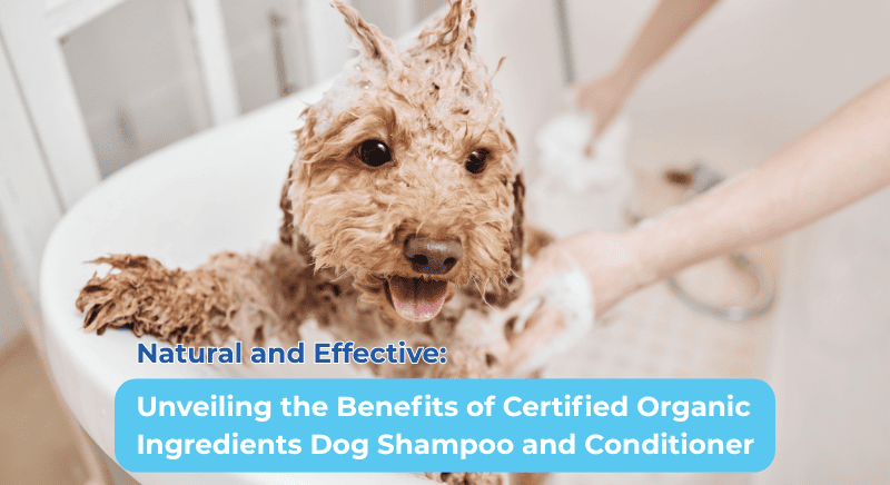 Natural and Effective: Unveiling the Benefits of Certified Organic Ingredients Dog Shampoo and Conditioner