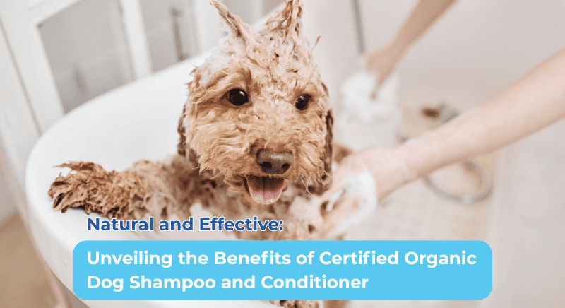 Natural and Effective: Unveiling the Benefits of Certified Organic Dog Shampoo and Conditioner