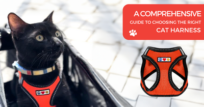 A COMPREHENSIVE GUIDE TO CHOOSING THE RIGHT CAT HARNESS