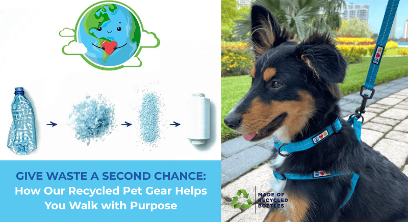 GIVE WASTE A SECOND CHANCE: How Our Recycled Pet Gear Helps You Walk with Purpose