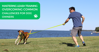 MASTERING LEASH TRAINING: OVERCOMING COMMON CHALLENGES FOR DOG OWNERS