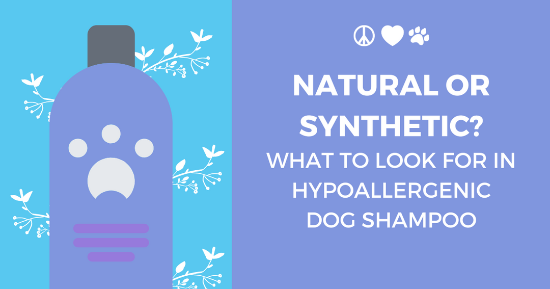 DECIDING BETWEEN NATURAL AND SYNTHETIC IN HYPOALLERGENIC DOG SHAMPOOS