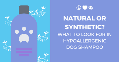 DECIDING BETWEEN NATURAL AND SYNTHETIC IN HYPOALLERGENIC DOG SHAMPOOS