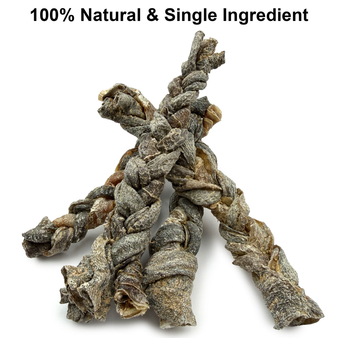 100% Natural Ostrich Skin Braids for Dogs – Long-Lasting Rawhide-Free Single-Ingredient Chew