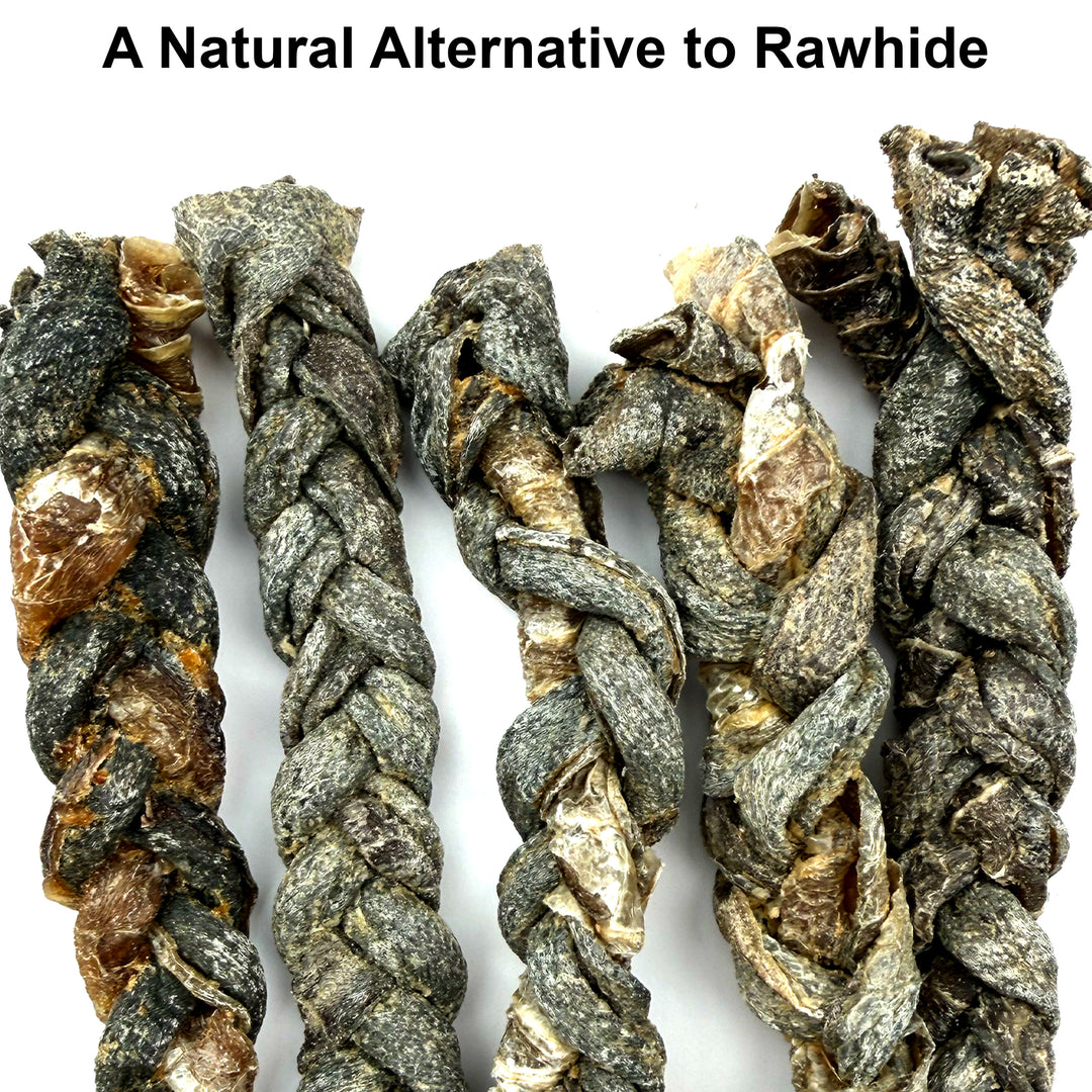 100% Natural Ostrich Skin Braids for Dogs – Long-Lasting Rawhide-Free Single-Ingredient Chew