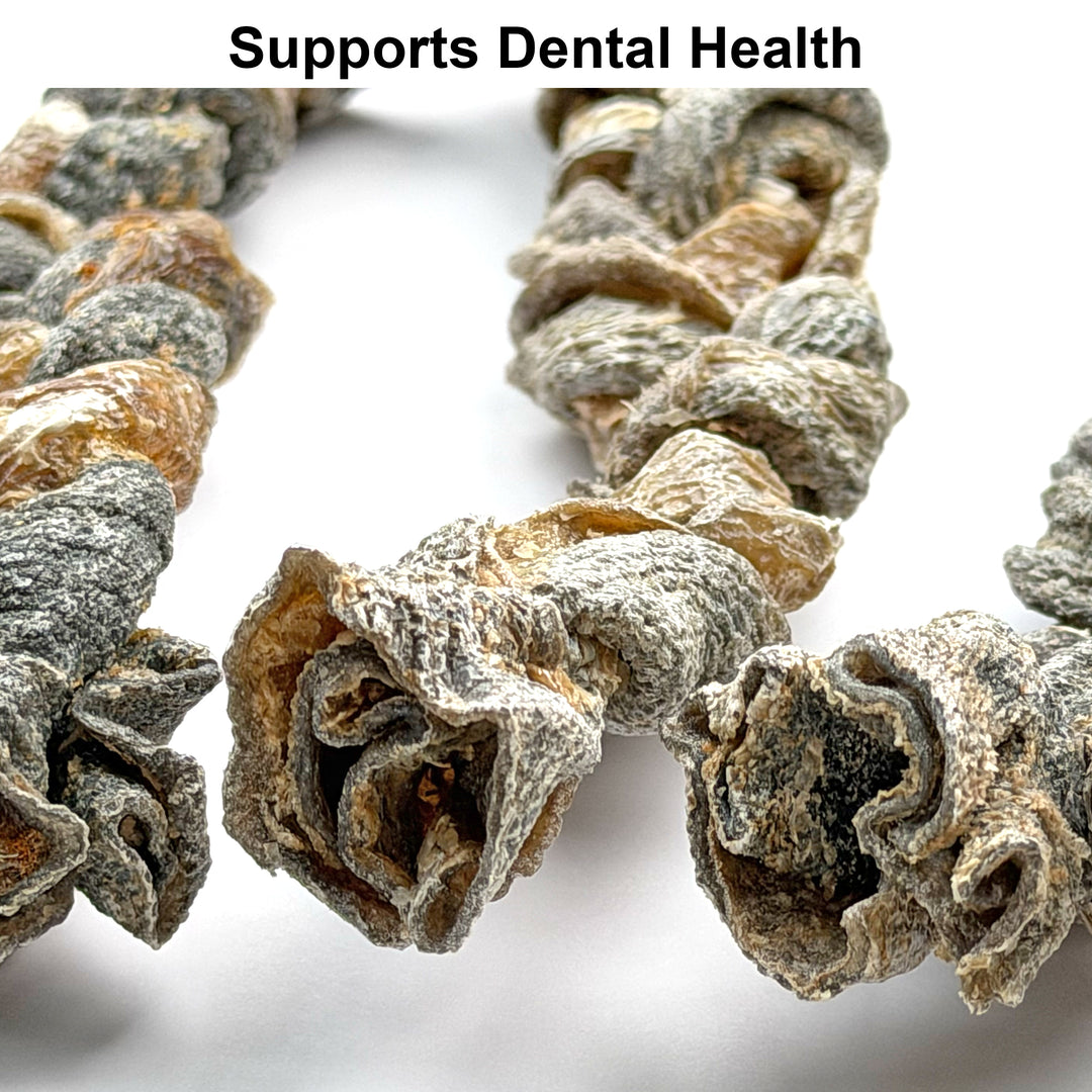 100% Natural Ostrich Skin Braids for Dogs – Long-Lasting Rawhide-Free Single-Ingredient Chew