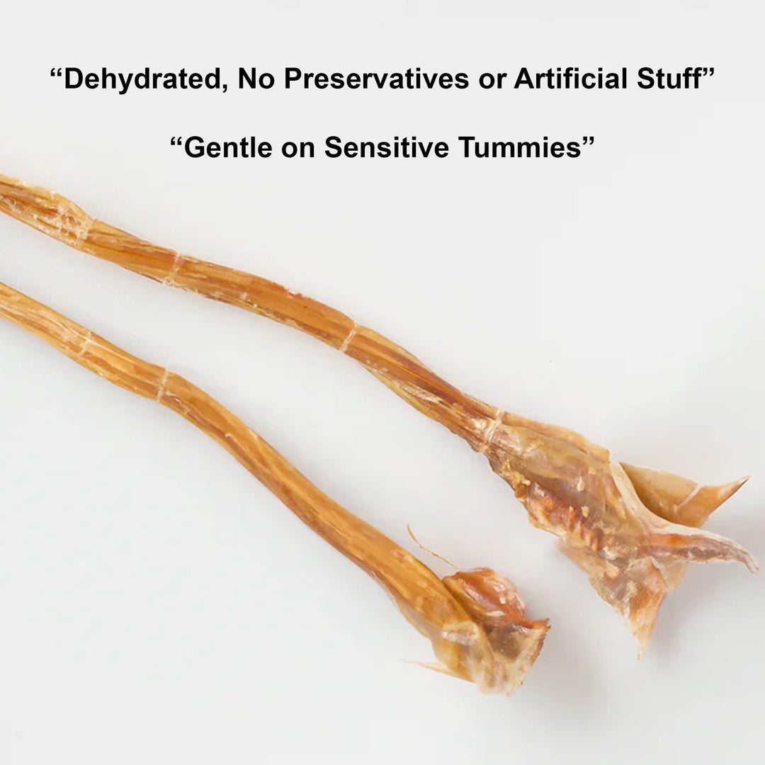 Ostrich Tendon Jerky Dog Chew – 100% tendon, single-ingredient, all natural. Long-lasting chew with no fillers, just pure tendon dogs crave.