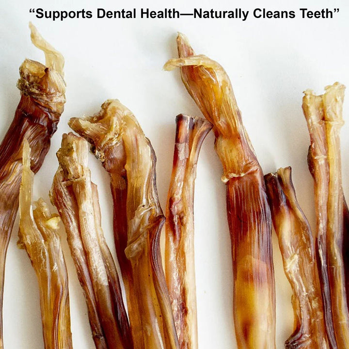 Ostrich Tendon Jerky Dog Chew – 100% tendon, single-ingredient, all natural. Long-lasting chew with no fillers, just pure tendon dogs crave.
