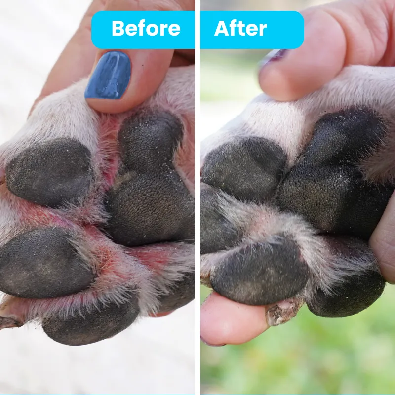 Dog Paw Balm