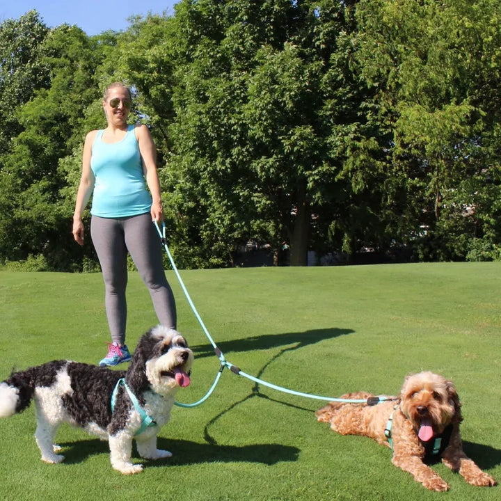 Reflective Rope Leash for 2 Dogs