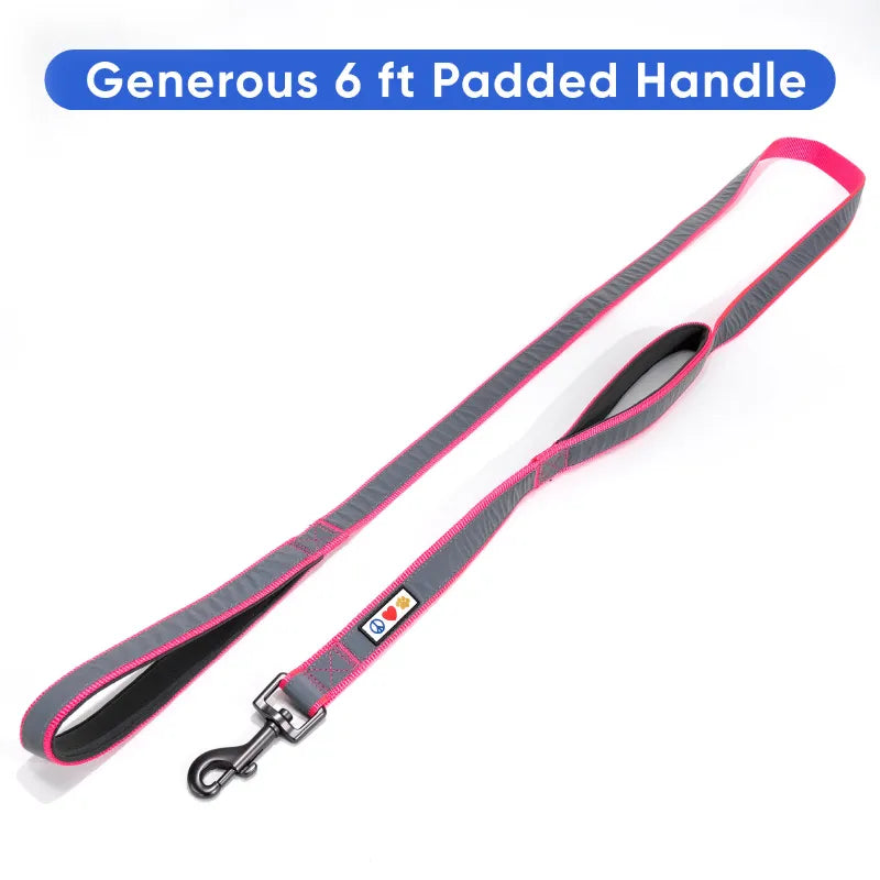 Padded 2 Handle Reflective Leash 6-FT