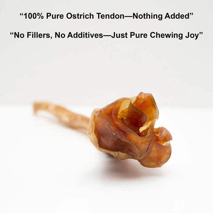Ostrich Tendon Jerky Dog Chew – 100% tendon, single-ingredient, all natural. Long-lasting chew with no fillers, just pure tendon dogs crave.