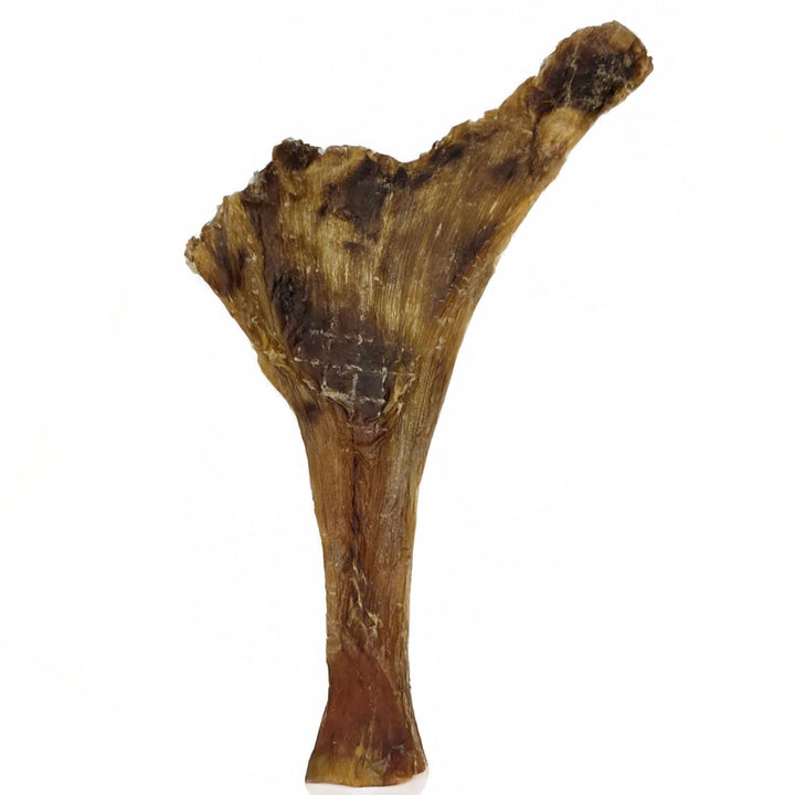 Ostrich Spoon Long Tendon Dog Chew – 100% tendon, single-ingredient, all natural. Long-lasting chew with no fillers, just pure tendon dogs crave.
