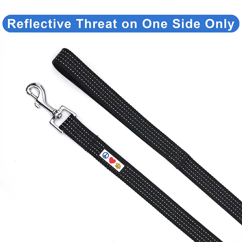 Personalized Custom Reflective Standard Dog Leash 6 Ft