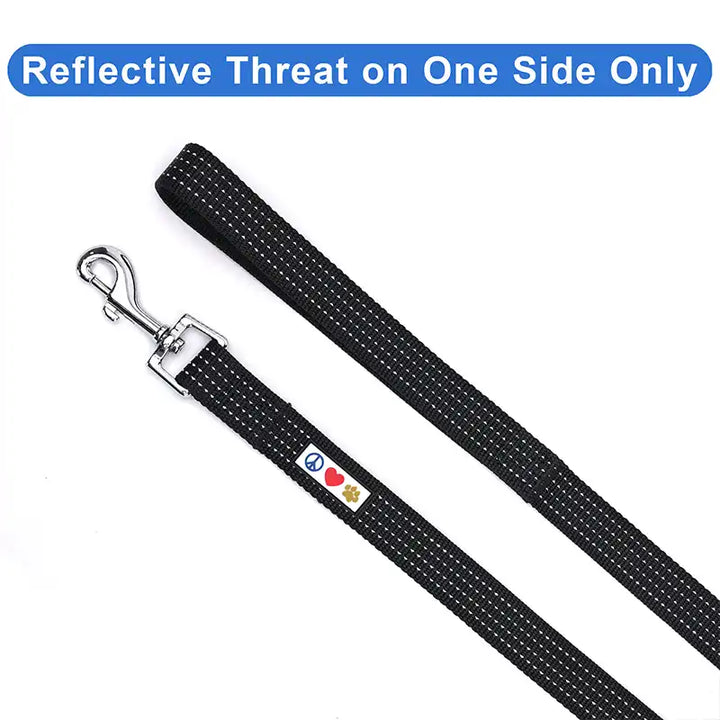 Personalized Custom Reflective Standard Dog Leash 6 Ft