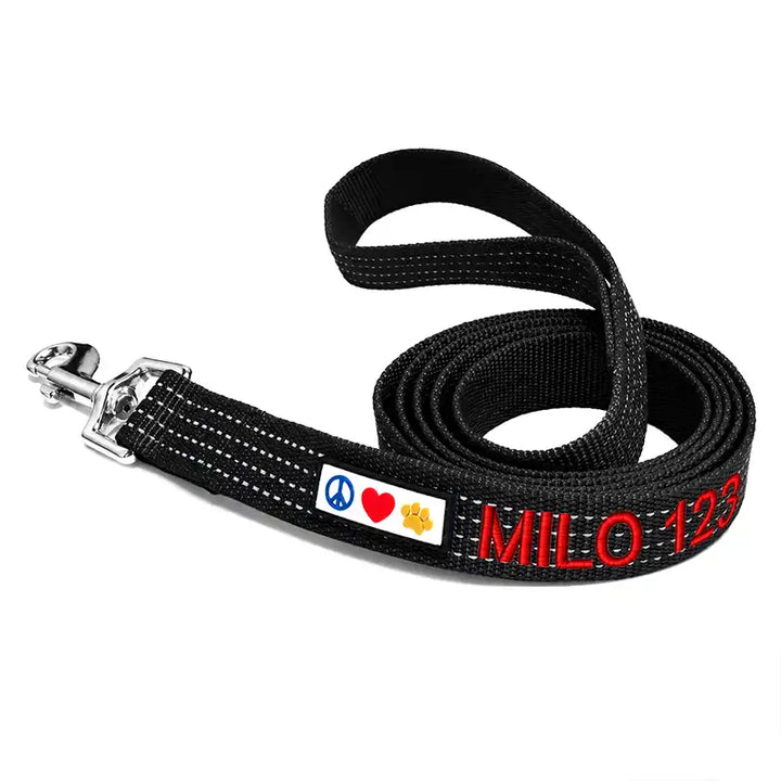Personalized Custom Reflective Standard Dog Leash 6 Ft