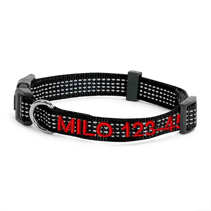 Personalized Custom Reflective Adjustable Dog Collar