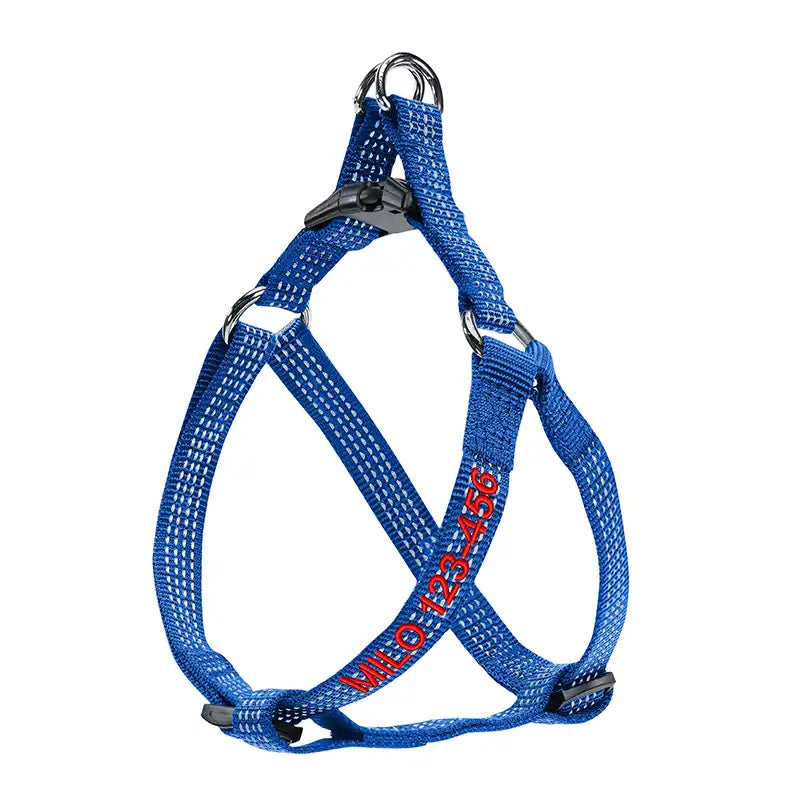 Personalized Custom Basic Dog Harness