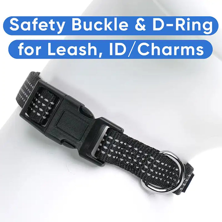 Personalized Custom Reflective Adjustable Dog Collar
