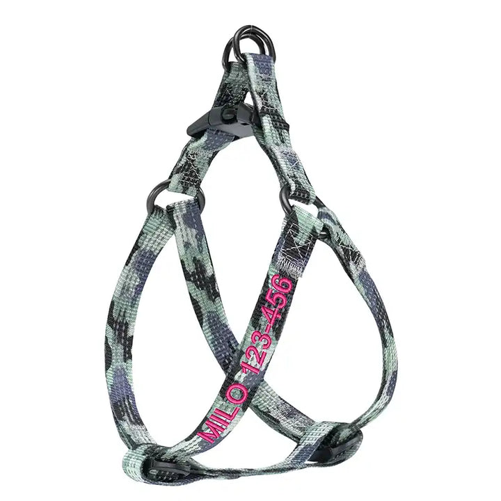 Personalized Custom Basic Dog Harness
