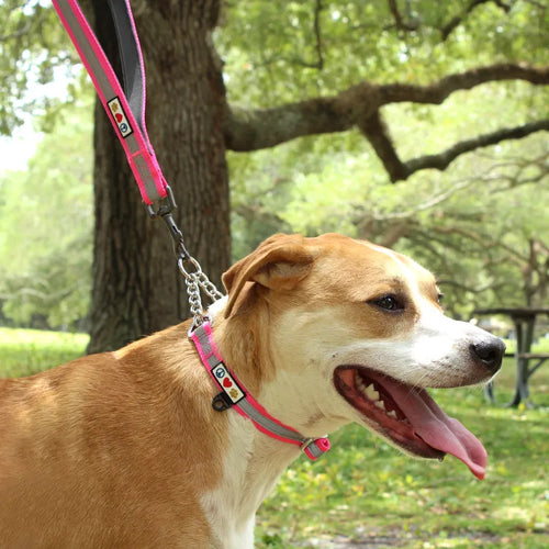 Chain Martingale Reflective Dog Collar