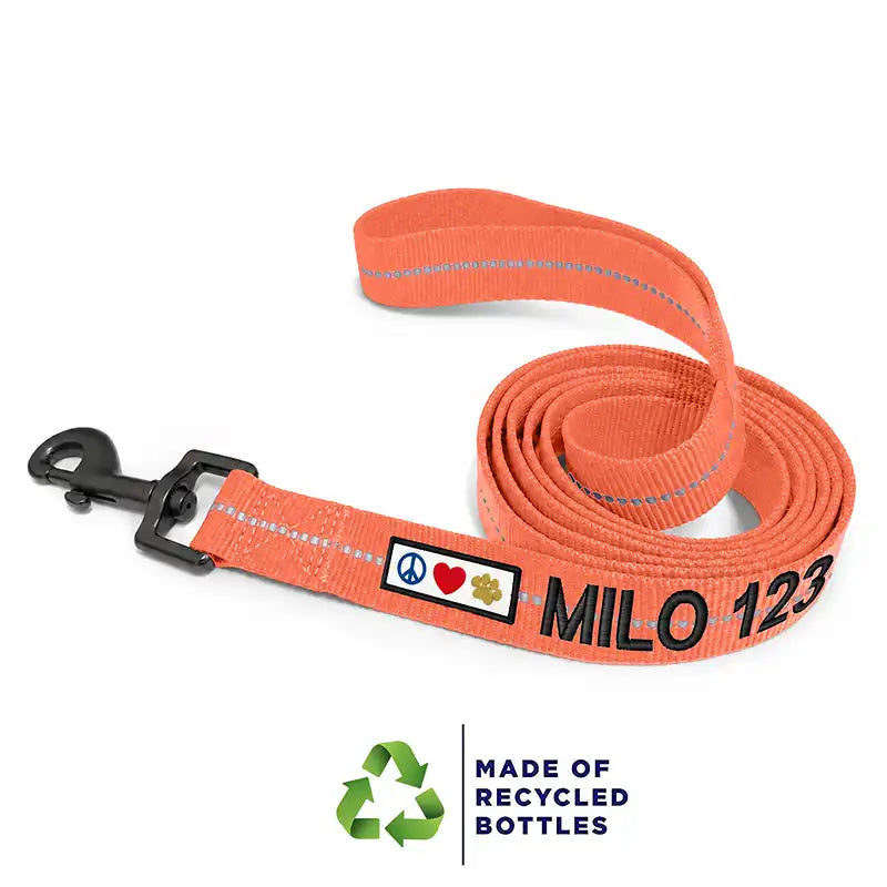 Personalized Custom Recycled Reflective Eco-Friendly Standard Dog Leash 6 Ft