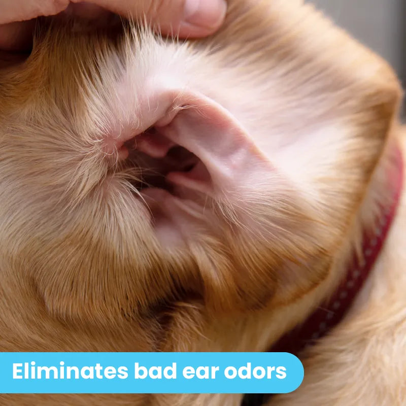 Dogs Ear Solution | 2oz
