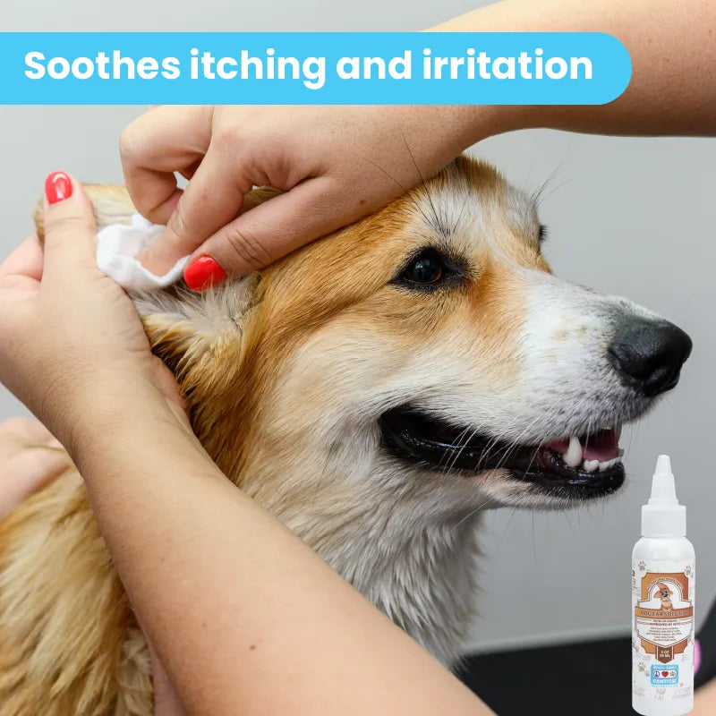 Dogs Ear Solution | 2oz