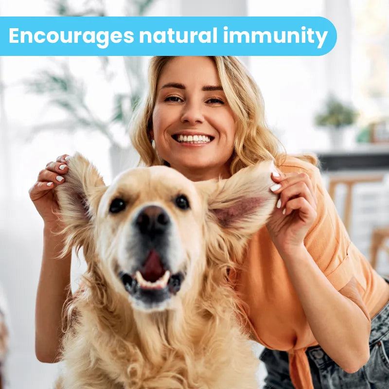 Dogs Ear Solution | 2oz