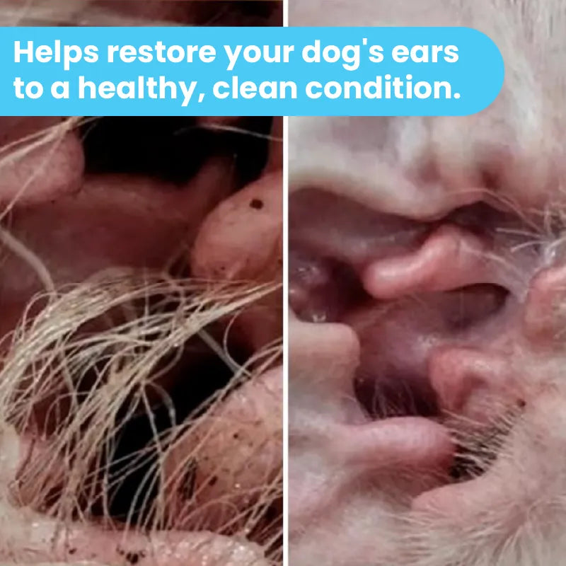 Dogs Ear Solution 2oz – Pawtitas Store