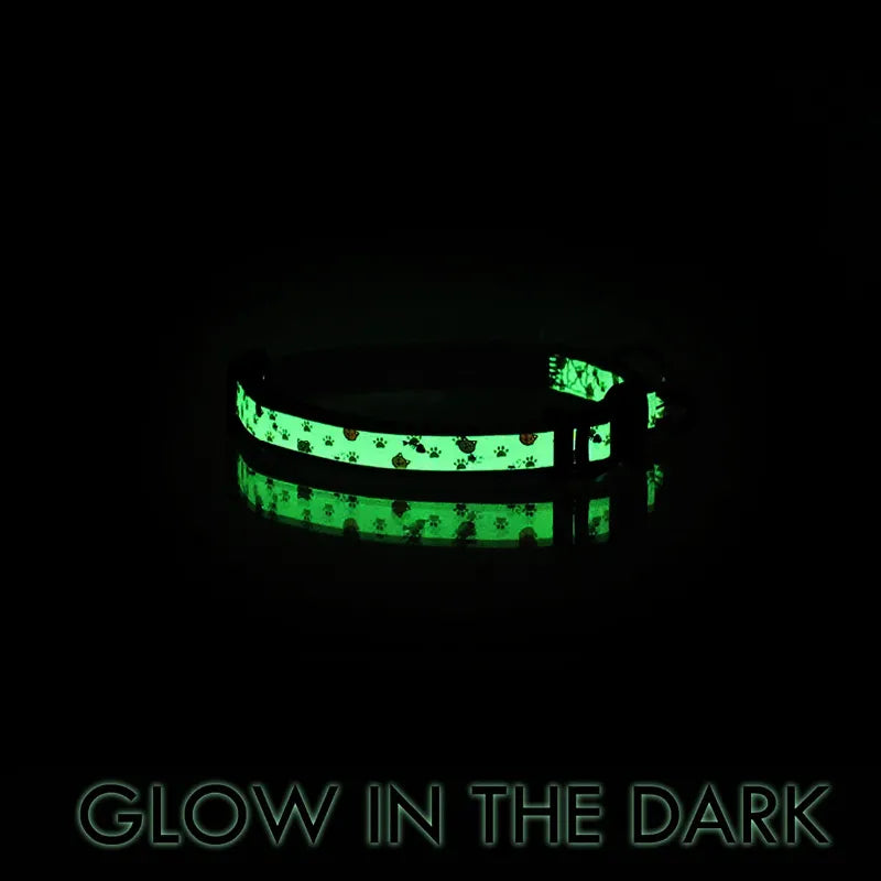 Pawtitas Halloween Cat Collar - Glow In The Dark, Breakaway Safety Buckle, Adjustable With Removable Bell - Black Cat Pattern