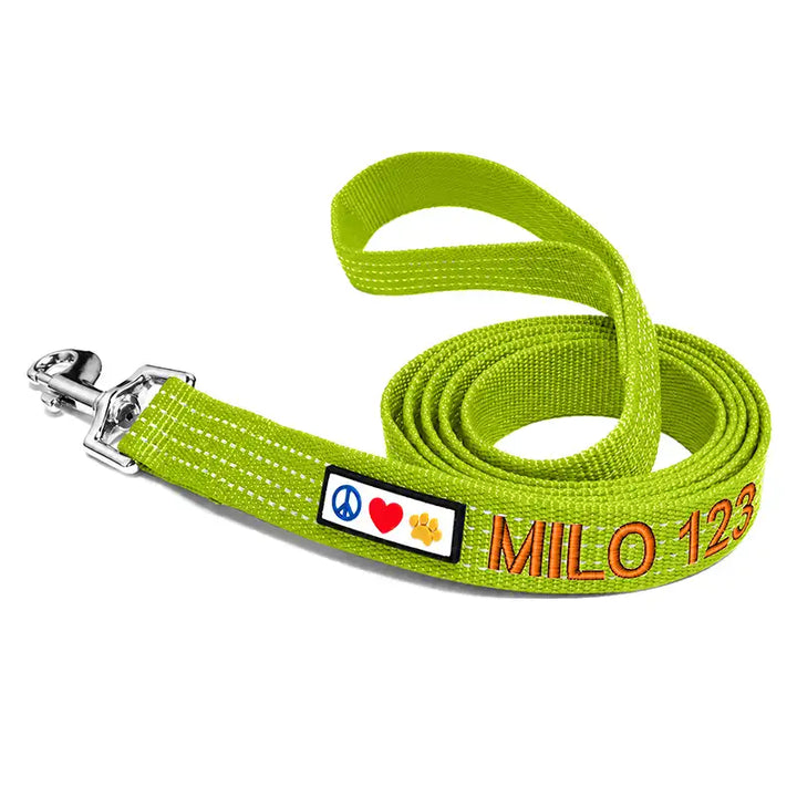 Personalized Custom Reflective Standard Dog Leash 6 Ft