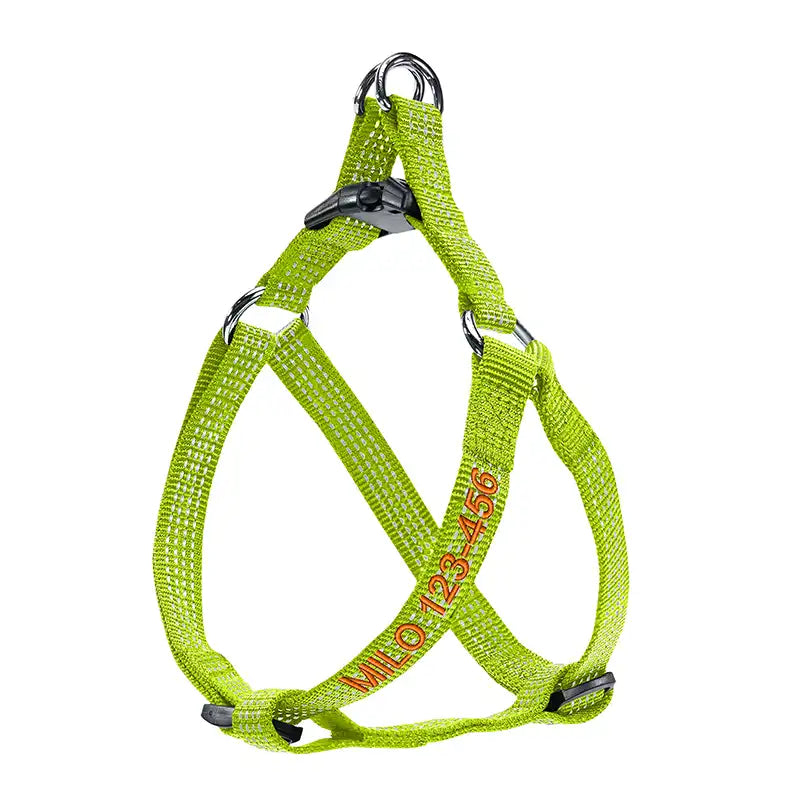 Personalized Custom Basic Dog Harness