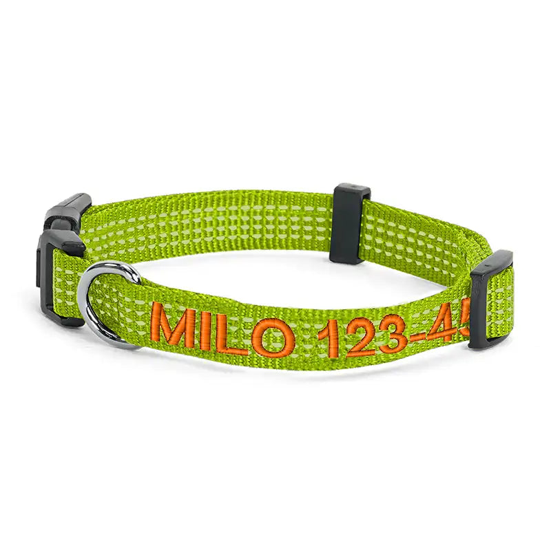 Personalized Custom Reflective Adjustable Dog Collar