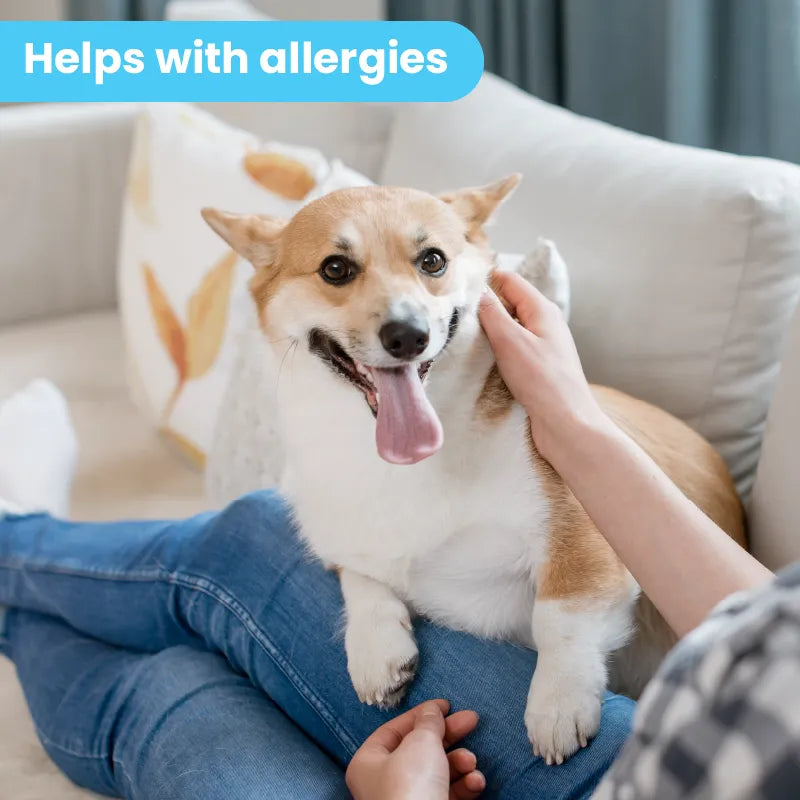 Dog Itch Soother Spray 2 & 8 OZ