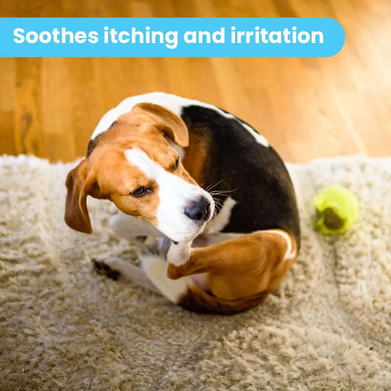 Dog Itch Soother Spray 2 & 8 OZ