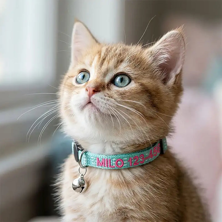 Personalized Custom Nylon Reflective Breakaway Cat Collar with Bell