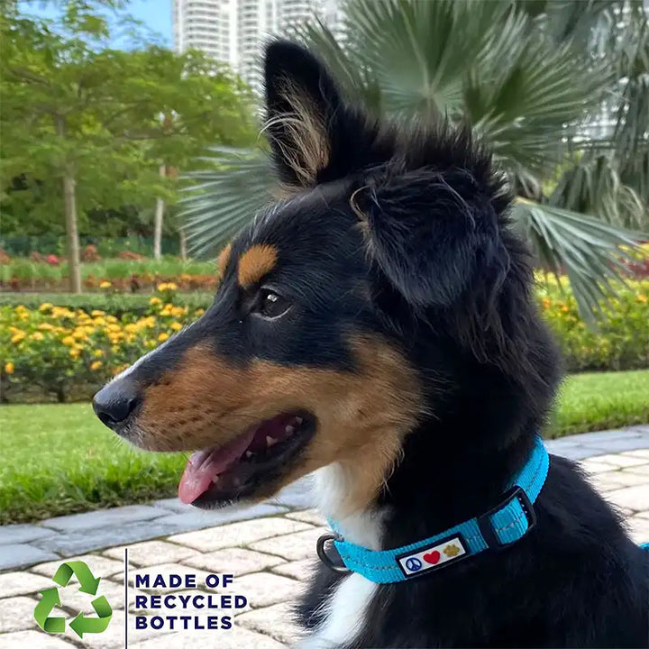 Personalized Custom Recycled Reflective Adjustable Dog Collar