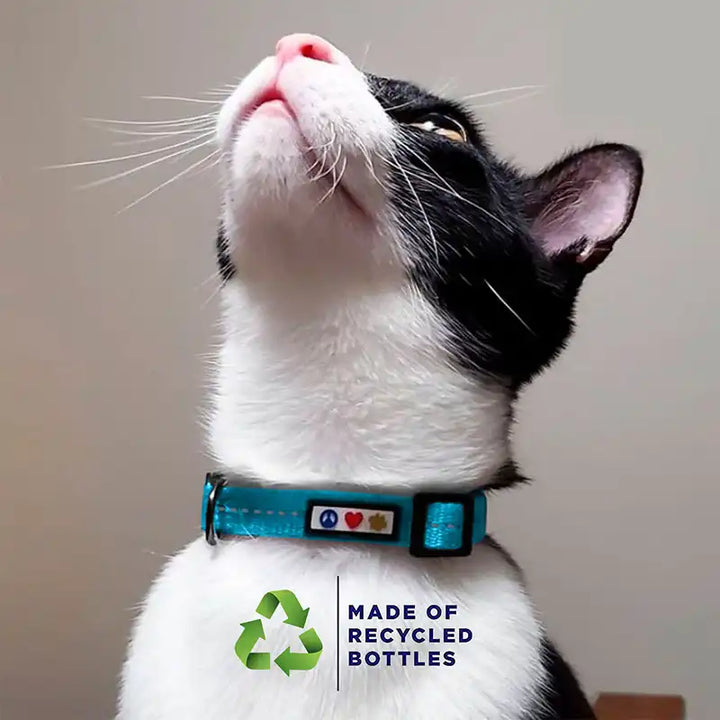 Pawtitas Personalized Recycled Reflective Breakaway Adjustable Cat Collar