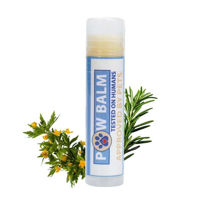 Dog Paw Balm