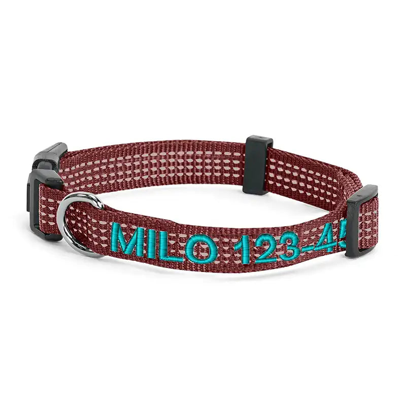 Personalized Custom Reflective Adjustable Dog Collar