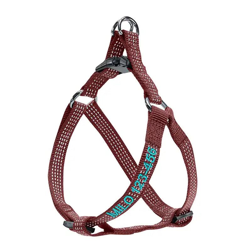 Personalized Custom Basic Dog Harness