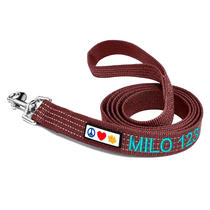 Personalized Custom Reflective Standard Dog Leash 6 Ft