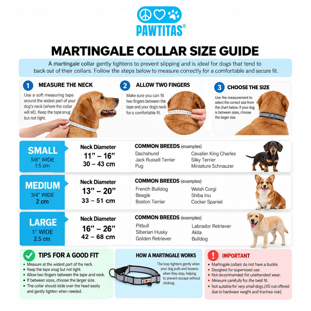 Personalized Reflective Martingale Dog Collar
