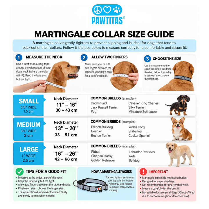Personalized Reflective Martingale Dog Collar