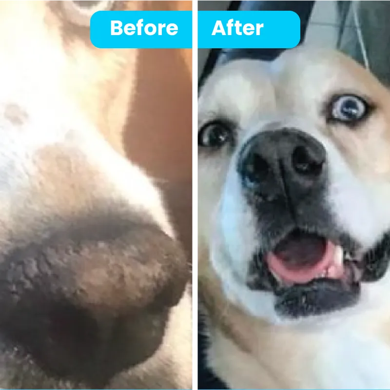 Nose Balm